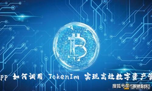 DApp 如何调用 TokenIm 实现高效数字资产管理