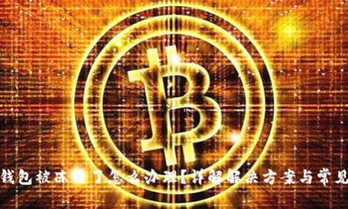 数字钱包被冻结了怎么办理？详解解决方案与常见问题