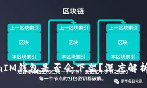 TokenTokenIM钱包是否会下架？深度解析与未来展望