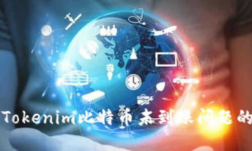 如何解决Tokenim比特币未到账问题的全面指南