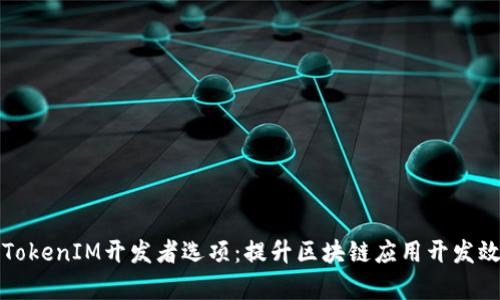 全面解析TokenIM开发者选项：提升区块链应用开发效率的利器