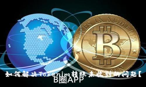 如何解决Tokenim转账未收到的问题？