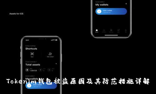 Tokenim钱包被盗原因及其防范措施详解