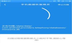 要详细探讨“TokenIM为什么不能更新”这个主题，