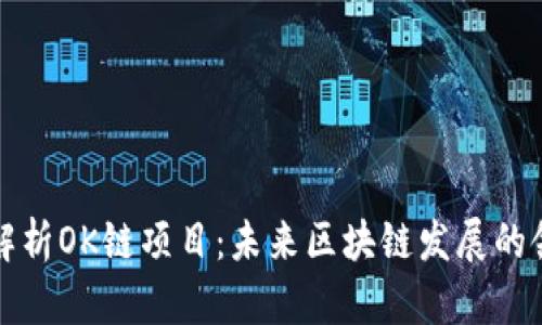 深入解析OK链项目：未来区块链发展的领航者
