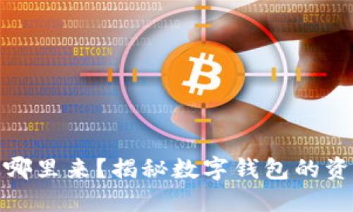 数字钱包里的钱从哪里来？揭秘数字钱包的资金来源和运作机制