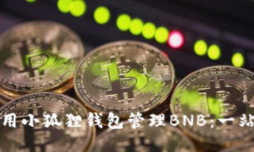 如何使用小狐狸钱包管理BNB：一站式指南