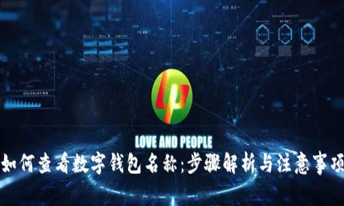如何查看数字钱包名称：步骤解析与注意事项