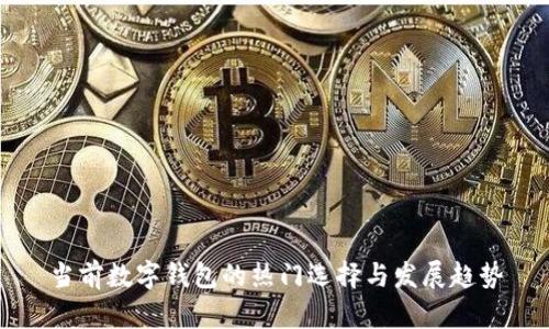 当前数字钱包的热门选择与发展趋势