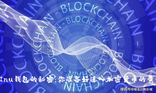 揭开Kishu Inu钱包的秘密：你准备好进入加密货币的黄金时代了吗？