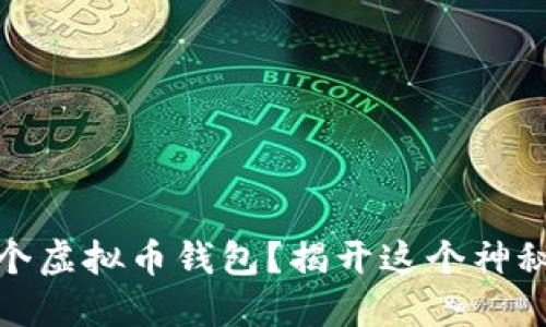 如何开发一个虚拟币钱包？揭开这个神秘项目的面纱