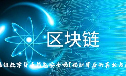 区块链数字货币钱包安全吗？揭秘背后的真相与风险