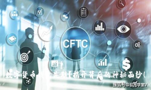 数字货币钱包失联？揭开背后的神秘面纱！