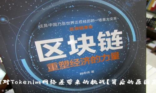 如何应对Tokenim网络差带来的挑战？背后的原因是什么？