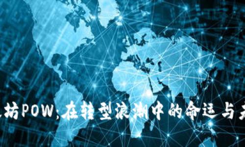 以太坊POW：在转型浪潮中的命运与未来？