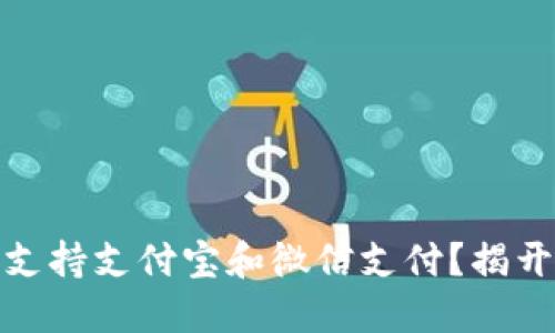 哪些虚拟币钱包支持支付宝和微信支付？揭开支付的神秘面纱