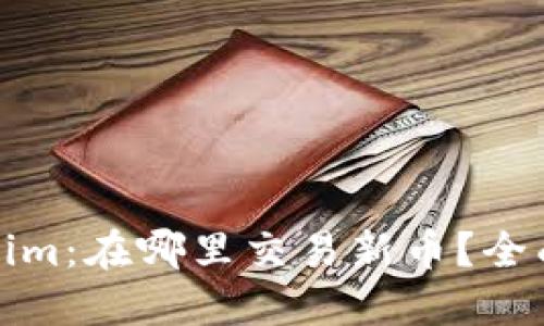 Tokenim：在哪里交易新币？全面指南