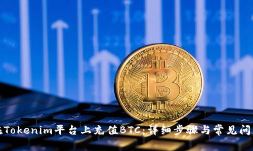 如何在Tokenim平台上充值BTC：详细步骤与常见问题解答