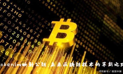 Tokenim映射公链：未来区块链技术的革新之路