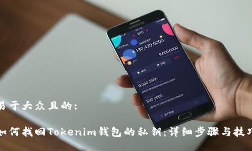 易于大众且的:

如何找回Tokenim钱包的私钥：详细步骤与技巧
