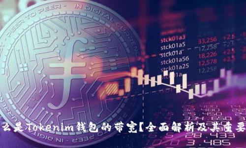 什么是Tokenim钱包的带宽？全面解析及其重要性