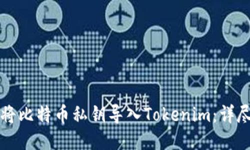 如何将比特币私钥导入Tokenim：详尽指南