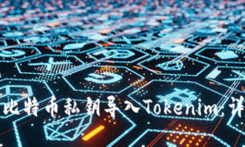 如何将比特币私钥导入Tokenim：详尽指南
