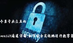 思考一个易于大众且的TokenImusdt通道详解：如何安