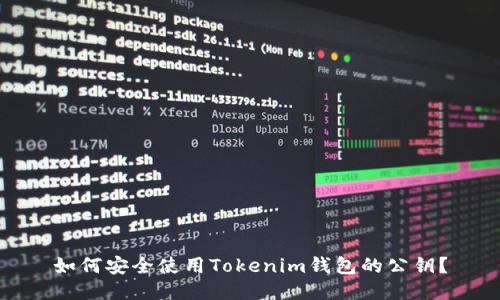 如何安全使用Tokenim钱包的公钥？