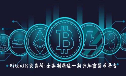 Bitbulls交易所：全面剖析这一新兴加密货币平台