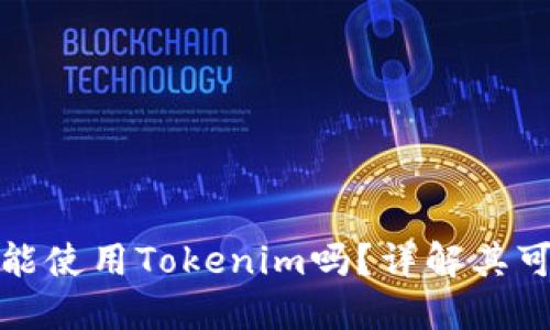 大陆用户还能使用Tokenim吗？详解其可用性与选择