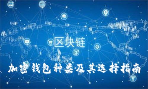 加密钱包种类及其选择指南
