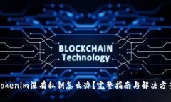 Tokenim没有私钥怎么办？完整指南与解决方案