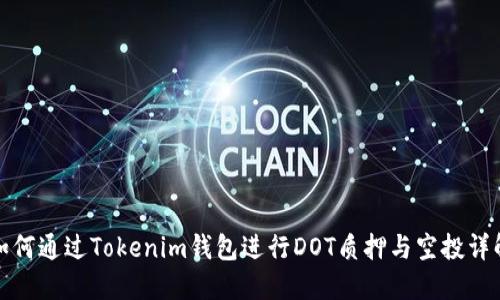 如何通过Tokenim钱包进行DOT质押与空投详解