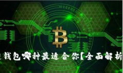 区块链钱包哪种最适合你？全面解析与推荐