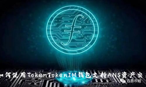 如何使用TokenTokenIM钱包支持ANS资产交易